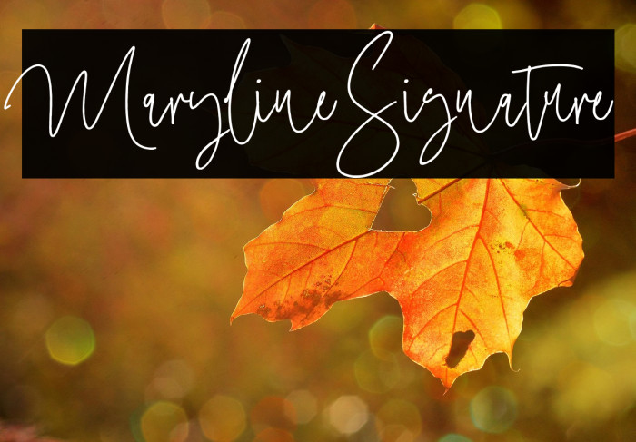 MarylineSignature Example 3