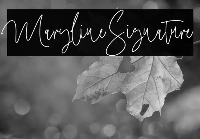 MarylineSignature Example 3