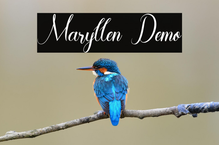 Maryllen Demo Example 1