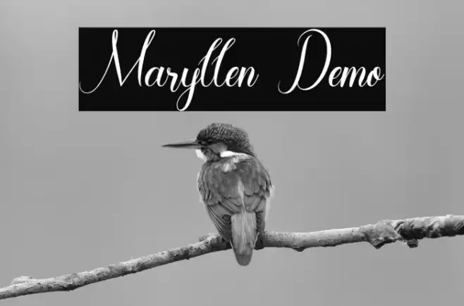 Maryllen Demo Font examples