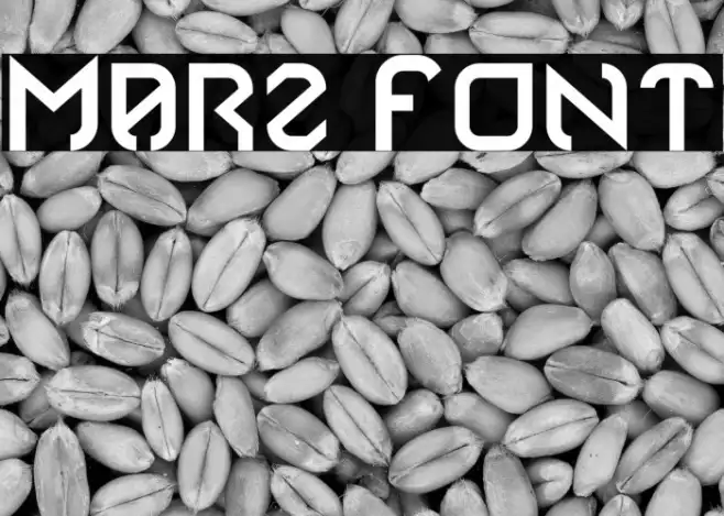 Marz Example 1