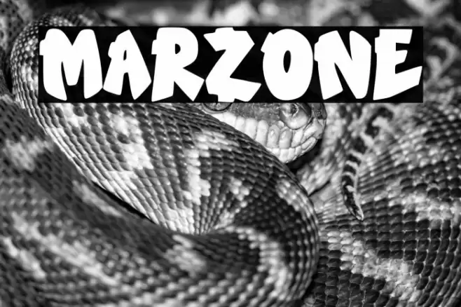 Marzone Caratteri examples