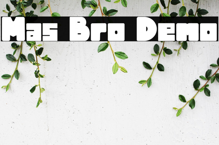 Mas Bro Demo Example 1