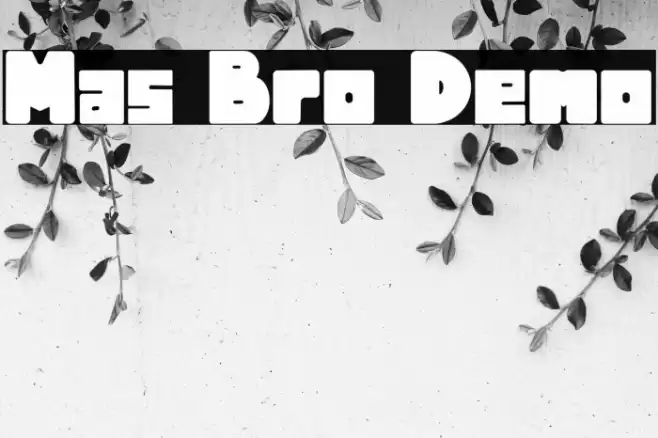 Mas Bro Demo Font examples