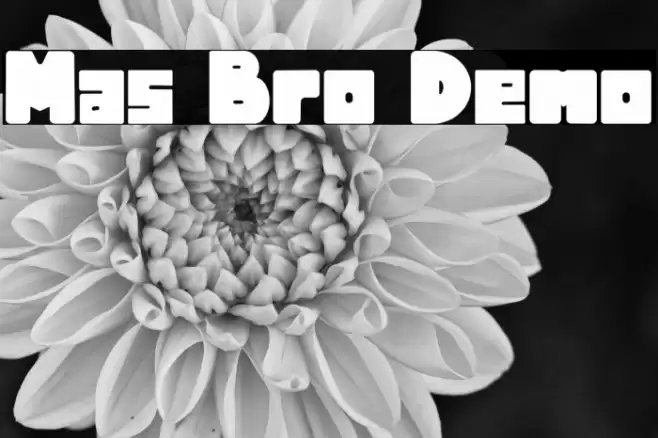 Mas Bro Demo Font examples