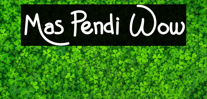 Mas Pendi Wow Example 2