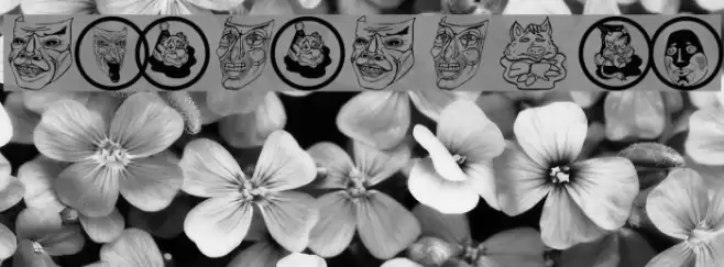 MasKsMKTwo خط examples