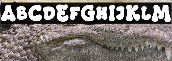 Masa Groovy Example 1