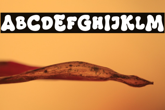 Masa Groovy Example 2