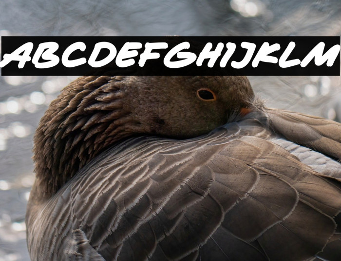 Masa Marker Example 3