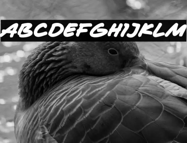 Masa Marker Font examples