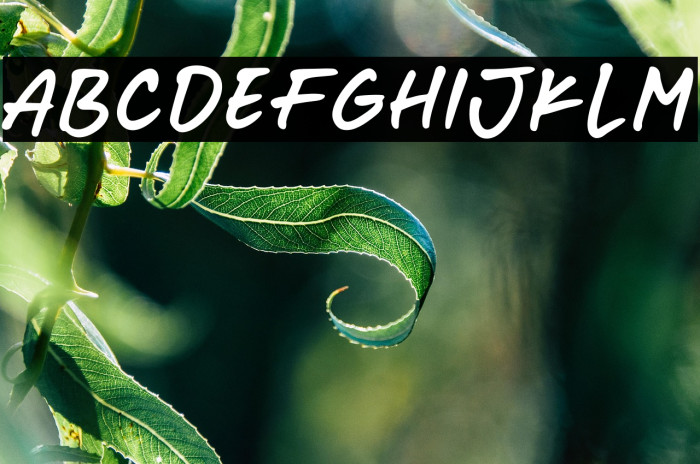 Masa Organic Hand Example 2