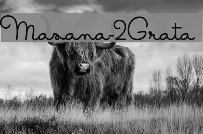 Masana-2Grata Font examples