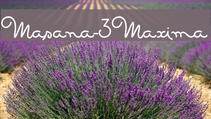 Masana-3Maxima Example 2