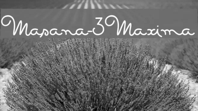 Masana-3Maxima Font examples