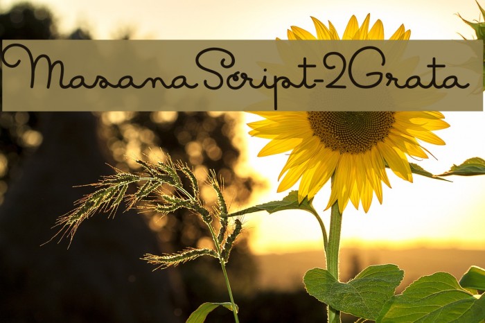 MasanaScript-2Grata Font examples