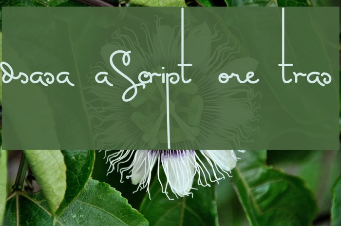 MasanaScript-5Extras Example 3