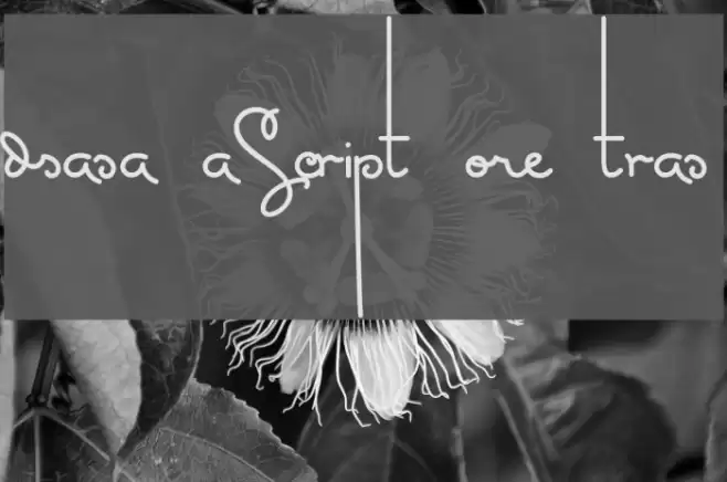 MasanaScript-5Extras Font examples