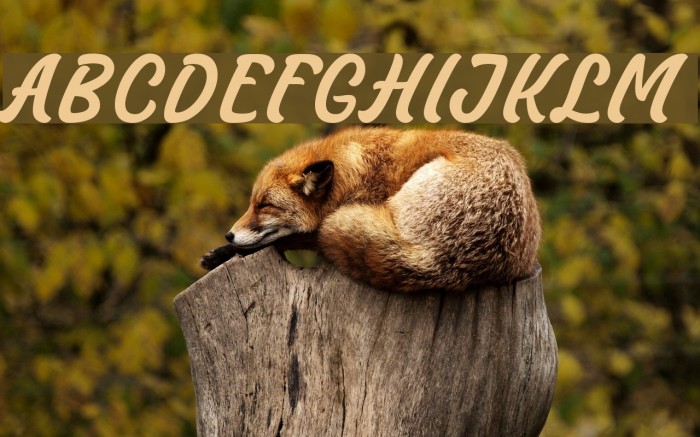Masbro Font examples