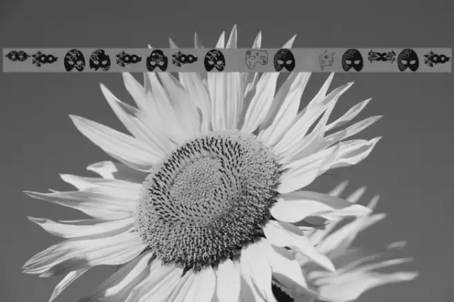 Mascaras de Veneza Font examples