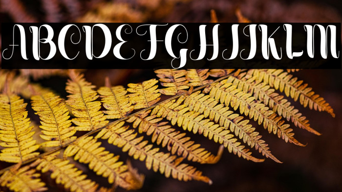 Masculine Personal Use Example 1