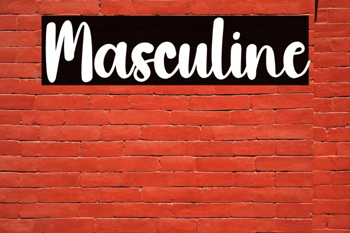 Masculine Example 1