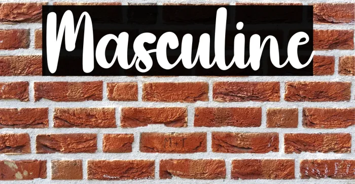 Masculine Example 2