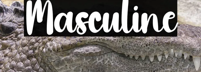 Masculine Example 3