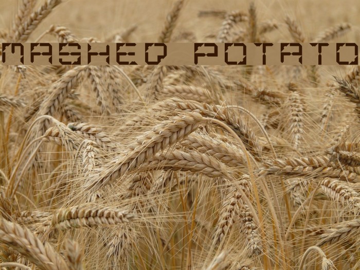 Mashed Potato Example 2