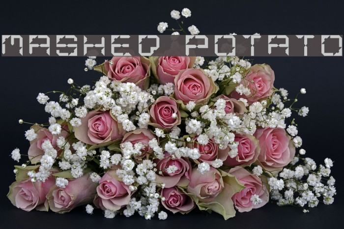 Mashed Potato Example 3