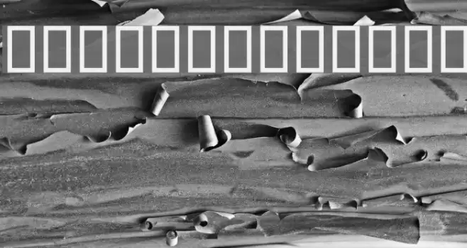 Mashhad Font examples