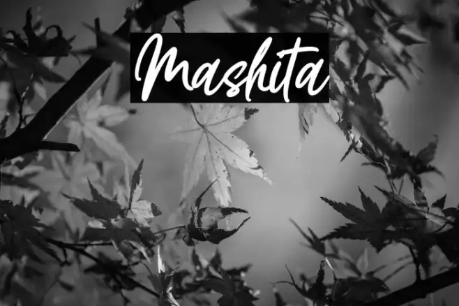 Mashita Example 1