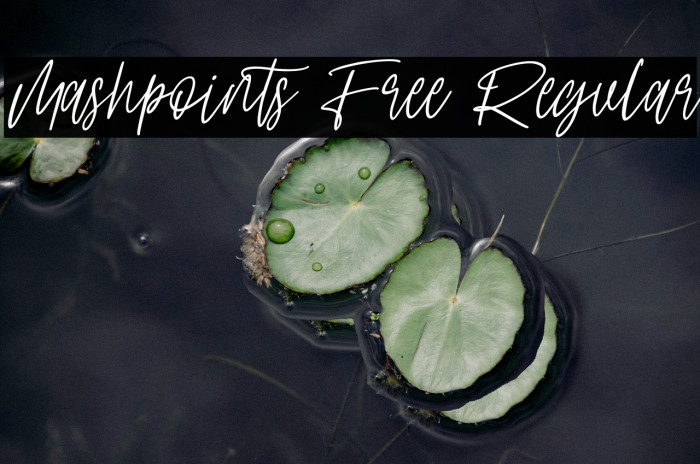 Mashpoints Free Regular Example 3