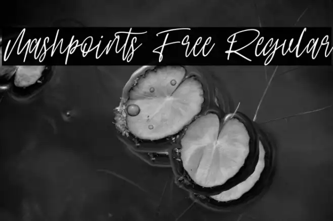 Mashpoints Free Regular Example 3