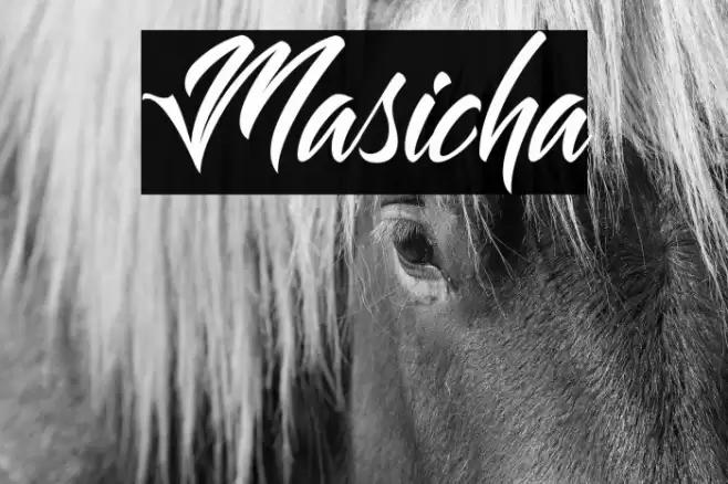 Masicha Font examples