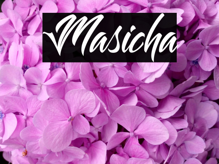 Masicha Example 3