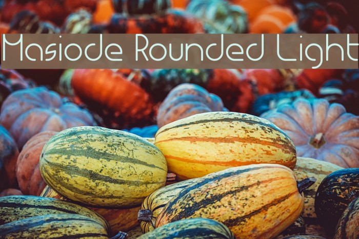 Masiode Rounded Light Font examples