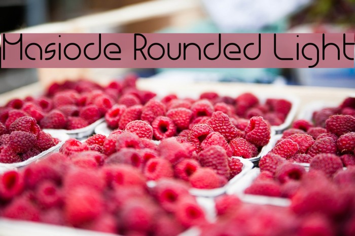 Masiode Rounded Light Font examples
