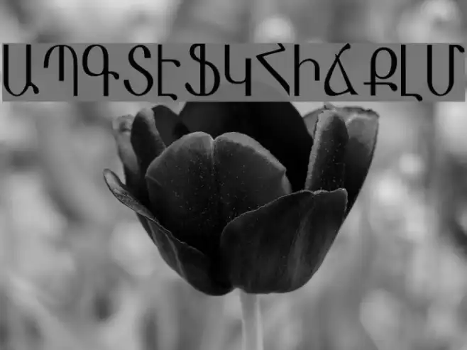 MasisNihar Example 2