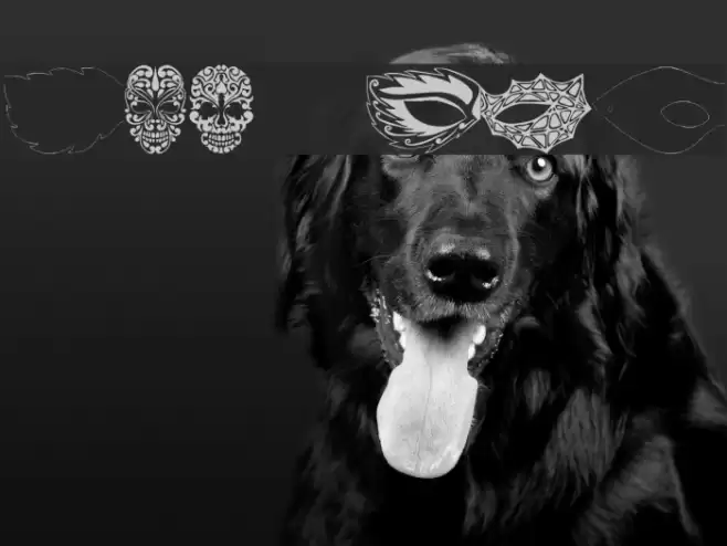 MaskbyEBO Font examples