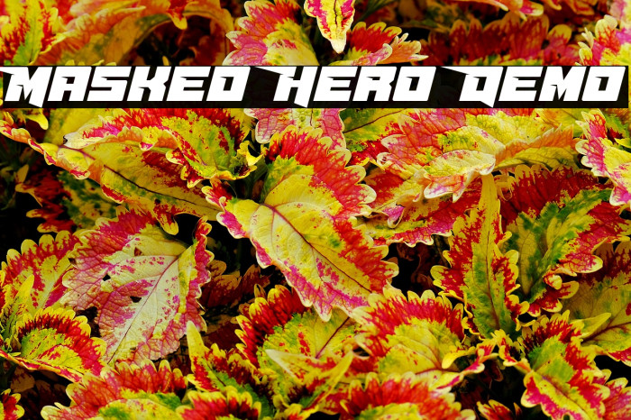 Masked Hero Demo Example 1