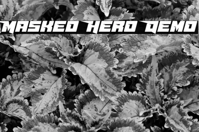 Masked Hero Demo Example 1