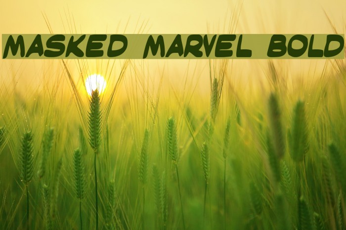 Masked Marvel Bold フォント examples