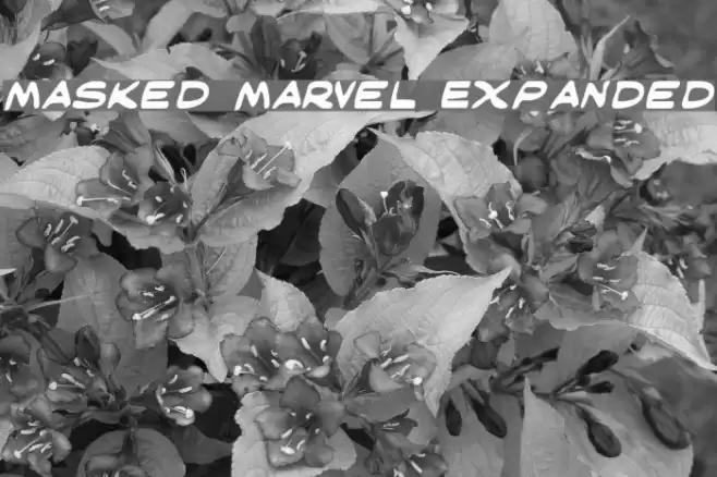 Masked Marvel Expanded Font examples