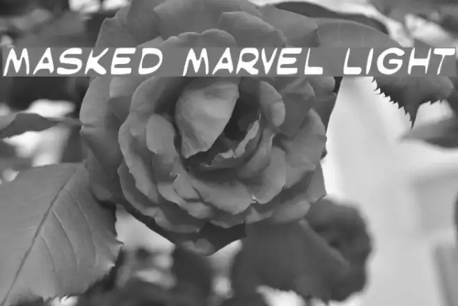 Masked Marvel Light Font examples