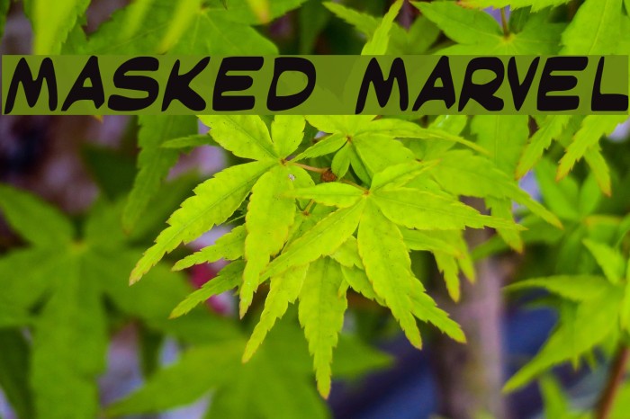 Masked Marvel フォント examples