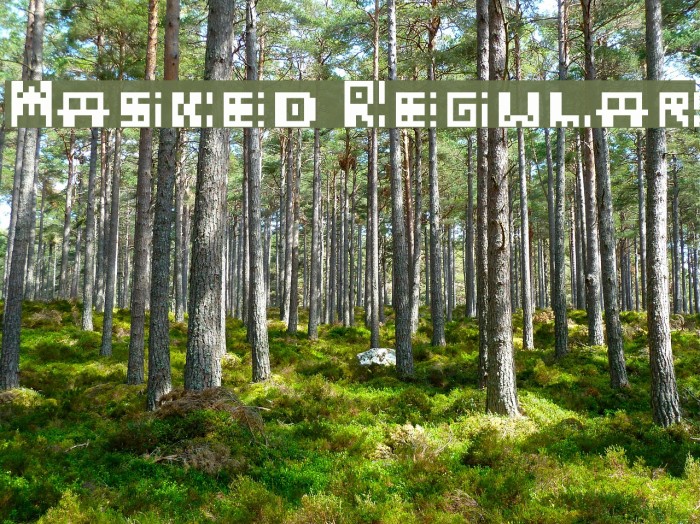 Masked Regular Font examples