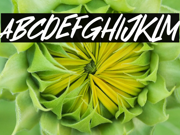 Masker Area Example 3