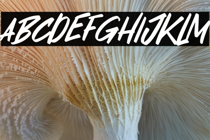 Masker Area Example 1