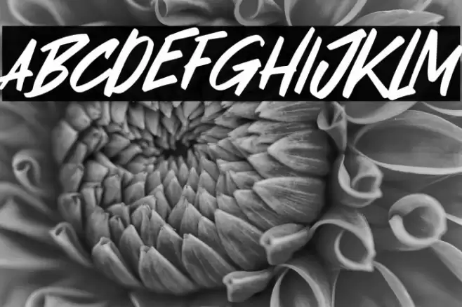 Masker Area Font examples